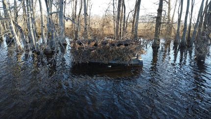 Timberland Property for sale in Saint Francis County, Arkansas