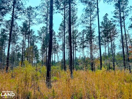 Undeveloped Land for sale in Oglethorpe County, Georgia