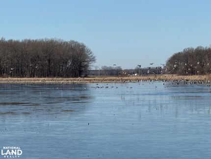 Property for sale in Monroe County, Arkansas