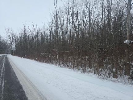 Undeveloped Land for sale in Madison County, New York