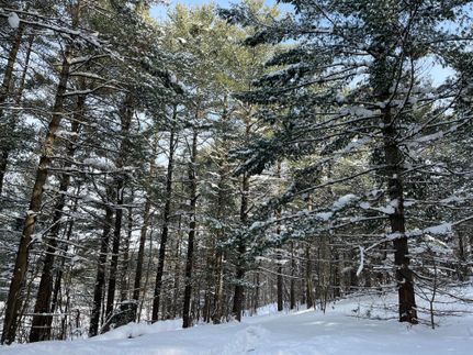 Property for sale in Lewis County, New York