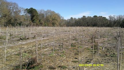 Property for sale in Dooly County, Georgia