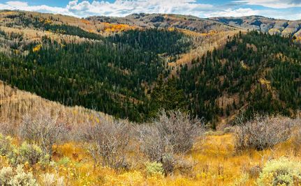 Farm Property for sale in Wasatch County, Utah