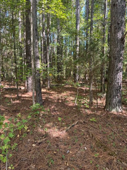 Farm Property for sale in DeKalb County, Tennessee