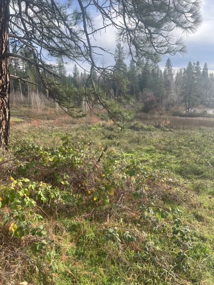 Timberland Property for sale in Nevada County, California