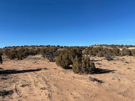 Undeveloped Land for sale in Duchesne County, Utah