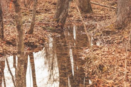 Residential Property for sale in Marion County, Tennessee