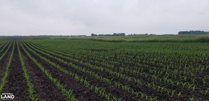 Farm Property for sale in Cottonwood County, Minnesota