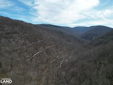 Timberland Property for sale in Pocahontas County, West Virginia