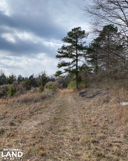 Property for sale in Saint Clair County, Alabama