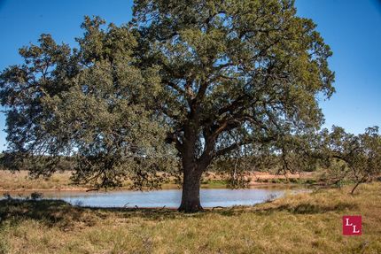 Hunting Land for sale in Jefferson County, Oklahoma