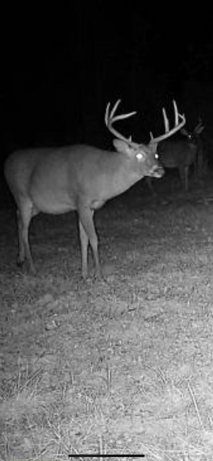 Farm Property for sale in Copiah County, Mississippi