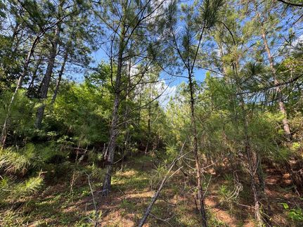 Farm Property for sale in Choctaw County, Alabama
