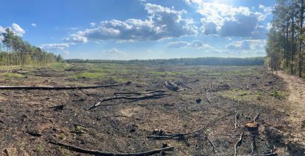 Farm Property for sale in Lincoln County, Arkansas