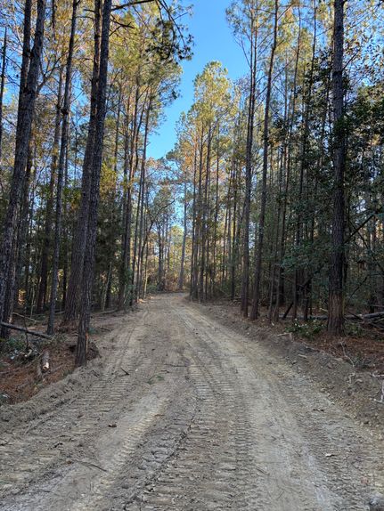 Timberland Property for sale in Washington County, Alabama