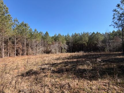 Ranch Property for sale in Choctaw County, Mississippi