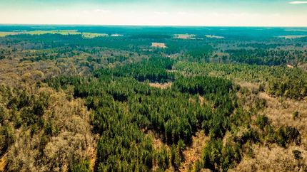 Undeveloped Land for sale in Jenkins County, Georgia