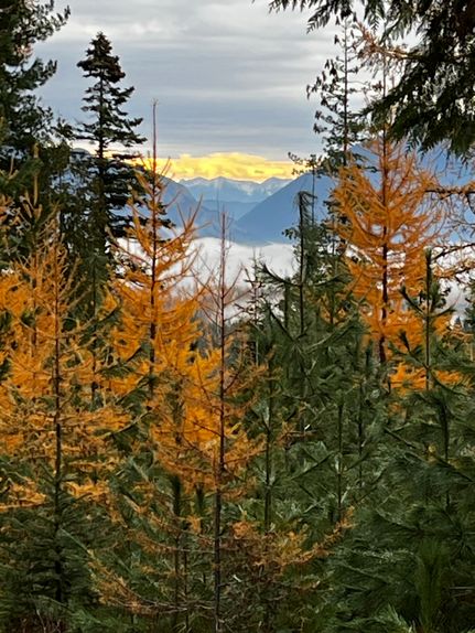 Farm Property for sale in Flathead County, Montana