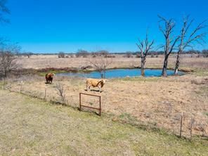 Ranch Property for sale in Henderson County, Texas