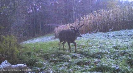 Property for sale in Crawford County, Wisconsin