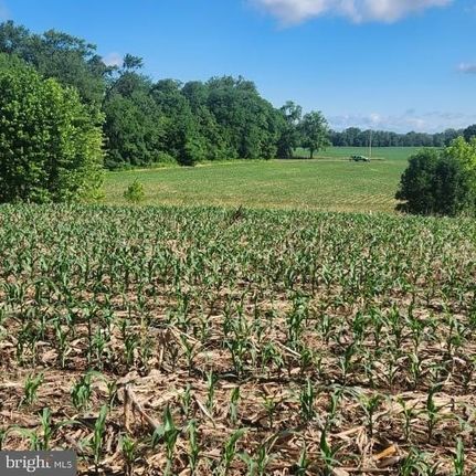 Undeveloped Land for sale in Northumberland County, Pennsylvania
