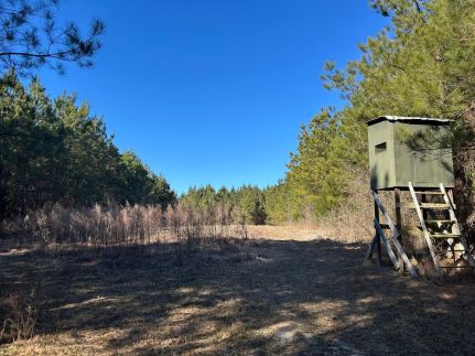 Timberland Property for sale in Newton County, Mississippi