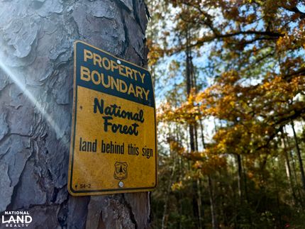 Ranch Property for sale in Perry County, Mississippi