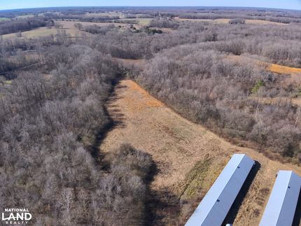 Farm Property in Limestone County, Alabama