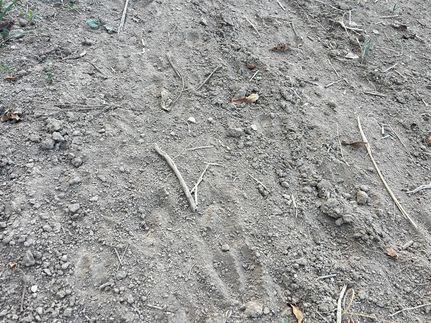 Undeveloped Land for sale in Logan County, Ohio