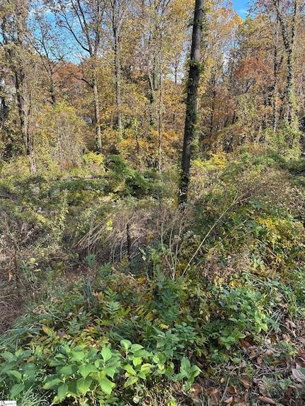 Property for sale in Greenville County, South Carolina