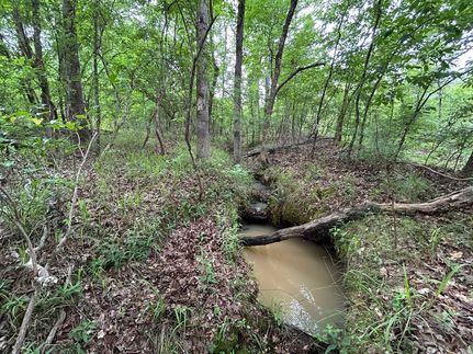 Undeveloped Land for sale in Putnam County, Georgia