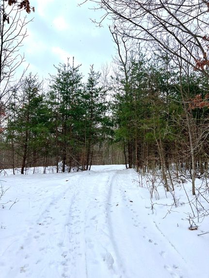 Timberland Property for sale in Scioto County, Ohio