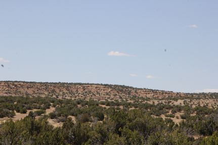 Recreational Property for sale in Catron County, New Mexico