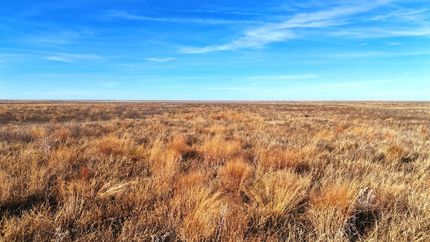 Farm Property for sale in Morton County, Kansas