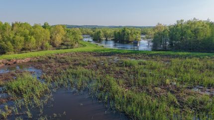 Hunting Land for sale in Miller County, Arkansas