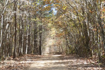 Property for sale in Franklin County, Alabama