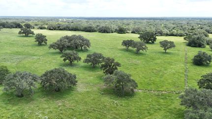 Farm Property for sale in Dewitt County, Texas