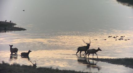 Recreational Property for sale in Garfield County, Montana