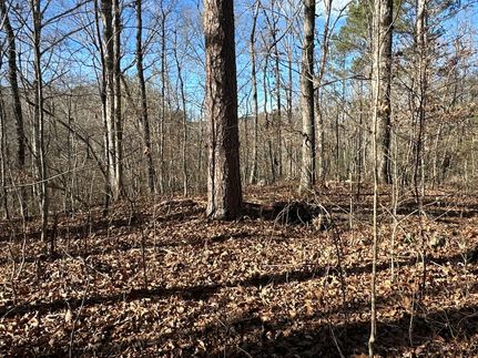 Undeveloped Land for sale in Polk County, Georgia