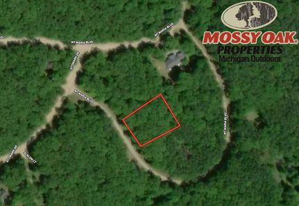 Undeveloped Land for sale in Alcona County, Michigan