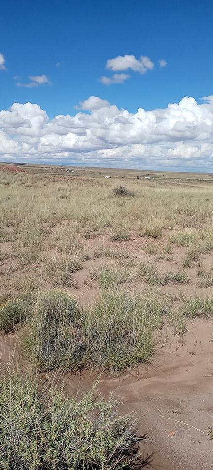 Farm Property for sale in Apache County, Arizona