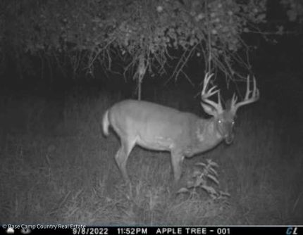 Ranch Property for sale in Shawano County, Wisconsin