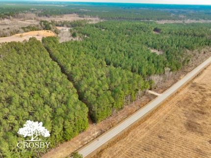 Ranch Property for sale in Williamsburg County, South Carolina
