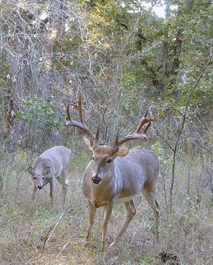 Property for sale in Okmulgee County, Oklahoma