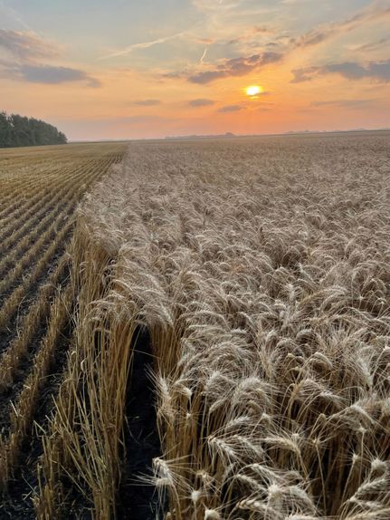 Farm Property for sale in Polk County, Minnesota