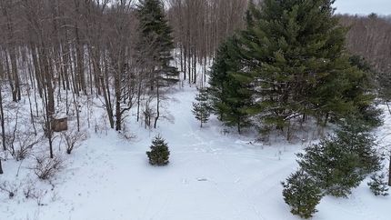 Ranch Property for sale in Osceola County, Michigan