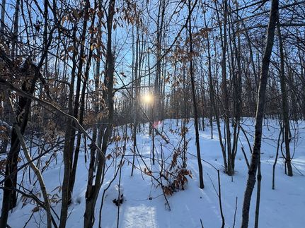 Farm Property for sale in Oscoda County, Michigan