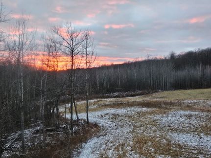 Residential Property for sale in Oscoda County, Michigan