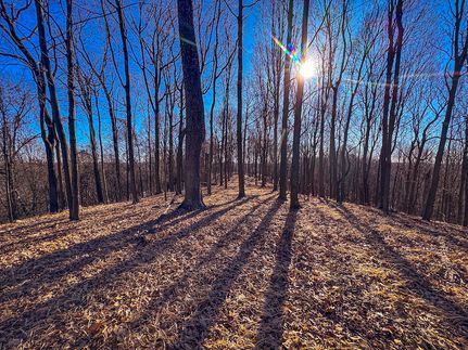 Property for sale in Pleasants County, West Virginia