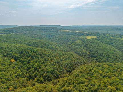 Undeveloped Land for sale in Conway County, Arkansas